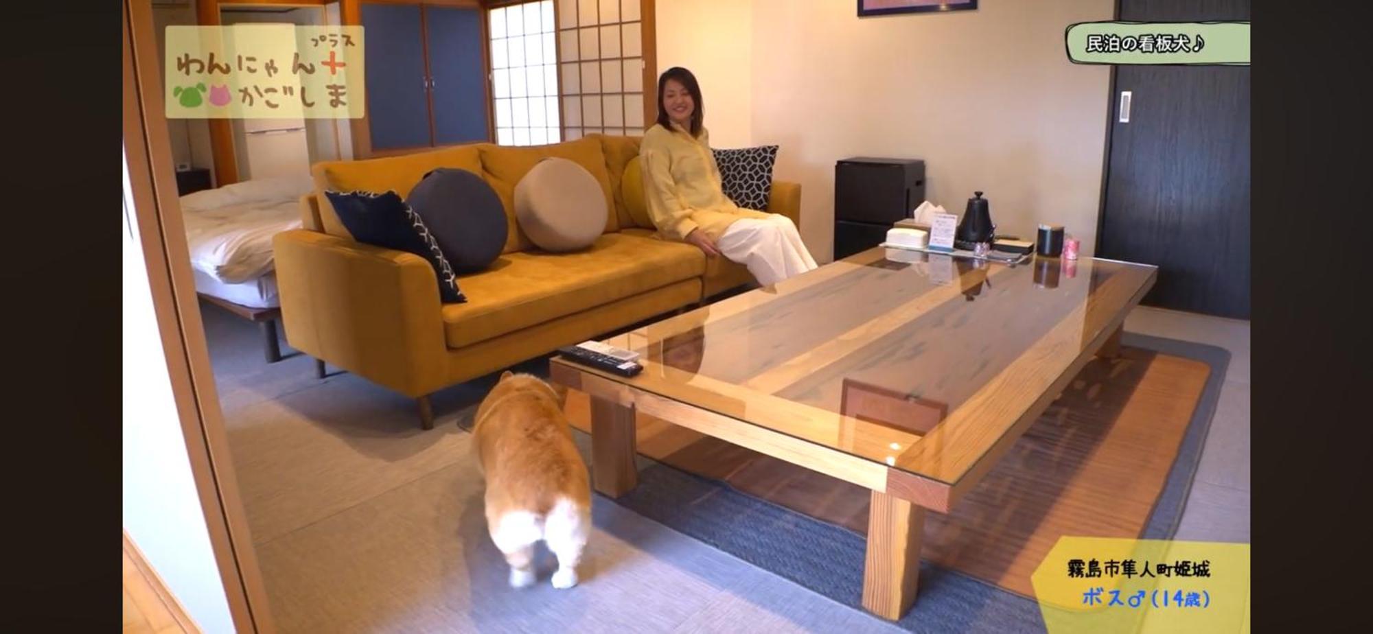 Boss'Shouse 犬ok 1組限定の宿 Kirishima Extérieur photo